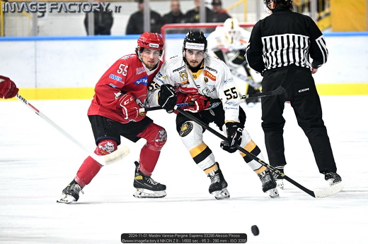 2024-11-01 Mastini Varese-Pergine Sapiens 03298 Alessio Piroso
